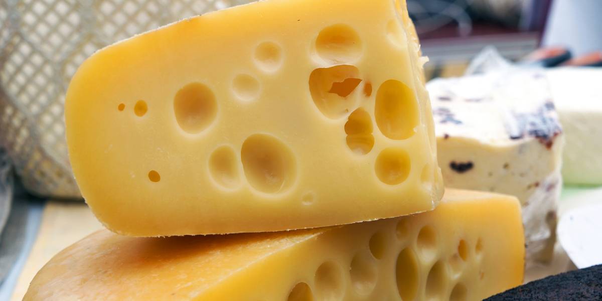 12 Varieties of Swiss Cheese and Their Nutritional Properties