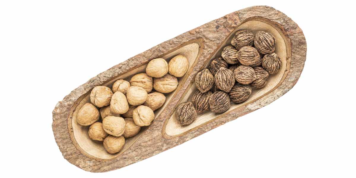 Black Walnuts: Nutritional Values and Benefits