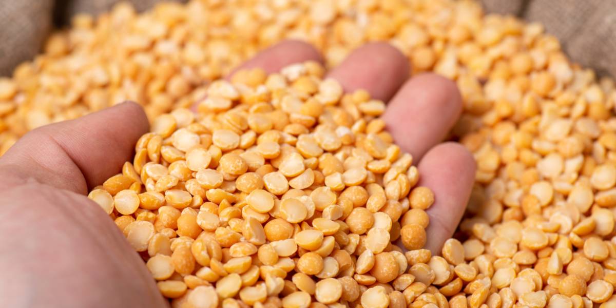 Yellow Split Peas: Nutritional Values and Potential Benefits