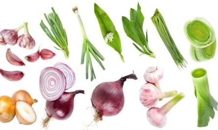 A List of Allium Vegetables and Their Nutritional Benefits